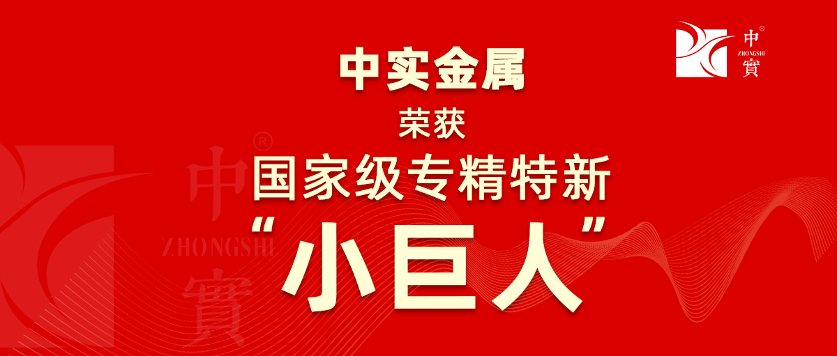 【喜訊】中實(shí)金屬獲評為廣東省第六批專精特新“小巨人”企業(yè)